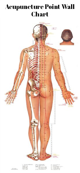 Acupuncture Chart